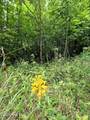 50 Camp Branch Road - Photo 13