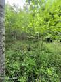 50 Camp Branch Road - Photo 6