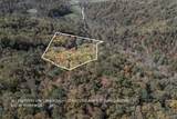 Lot 38 Skyview At Wildlife Acres - Photo 1