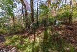 Lot 38 Skyview At Wildlife Acres - Photo 10