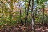 Lot 38 Skyview At Wildlife Acres - Photo 11