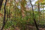 Lot 38 Skyview At Wildlife Acres - Photo 12