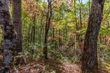 Lot 38 Skyview At Wildlife Acres - Photo 14