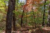 Lot 38 Skyview At Wildlife Acres - Photo 15