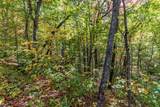 Lot 38 Skyview At Wildlife Acres - Photo 16