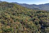 Lot 38 Skyview At Wildlife Acres - Photo 21