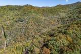 Lot 38 Skyview At Wildlife Acres - Photo 25
