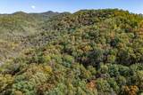 Lot 38 Skyview At Wildlife Acres - Photo 26
