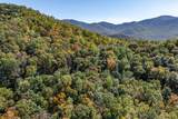 Lot 38 Skyview At Wildlife Acres - Photo 27