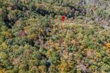 Lot 38 Skyview At Wildlife Acres - Photo 30