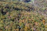 Lot 38 Skyview At Wildlife Acres - Photo 31