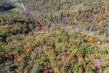 Lot 38 Skyview At Wildlife Acres - Photo 4