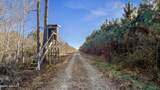 700 Acres Earl Davis Road - Photo 13