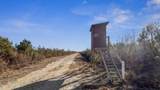 700 Acres Earl Davis Road - Photo 14