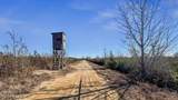 700 Acres Earl Davis Road - Photo 16