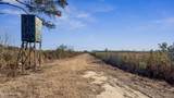 700 Acres Earl Davis Road - Photo 17