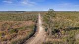 700 Acres Earl Davis Road - Photo 2