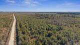 700 Acres Earl Davis Road - Photo 39
