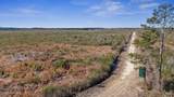 700 Acres Earl Davis Road - Photo 41