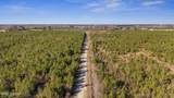 700 Acres Earl Davis Road - Photo 6