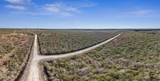 700 Acres Earl Davis Road - Photo 7