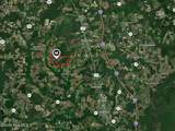 700 Acres Earl Davis Road - Photo 9