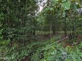 285 Garvin Drive - Photo 9