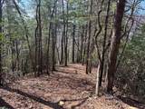 Lot 5 Huffman Creek Road - Photo 11