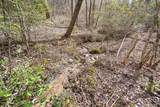 155 Ivy Knob Terrace - Photo 57