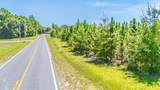 Tbd Blue Springs Road - Photo 10
