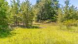 Tbd Blue Springs Road - Photo 11