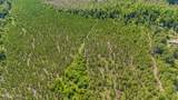 Tbd Blue Springs Road - Photo 4
