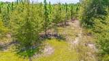 Tbd Blue Springs Road - Photo 7