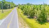 Tbd Blue Springs Road - Photo 8