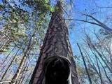 0 Nc 98 Highway - Photo 24