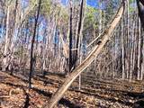 0 Nc 98 Highway - Photo 26