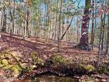 0 Nc 98 Highway - Photo 31