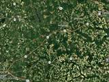 0 Nc 98 Highway - Photo 39
