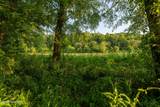 144 Riverwalk On The Hiwassee - Photo 10