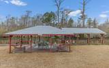 116 Island Trail - Photo 46