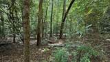 Lot 45 Granite Drive - Photo 13