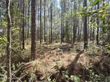Lot B-10 Renee Drive - Photo 2