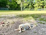 808 Black Swan Road - Photo 15