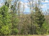 Lot 29 Brasstown View Road - Photo 1