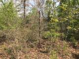 Lot 29 Brasstown View Road - Photo 10
