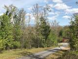 Lot 29 Brasstown View Road - Photo 11