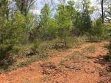 Lot 29 Brasstown View Road - Photo 6