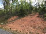 Lot 29 Brasstown View Road - Photo 9