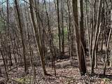 5 lots Ali Drive - Photo 5