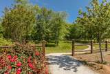 3110 Wayne Drive - Photo 40